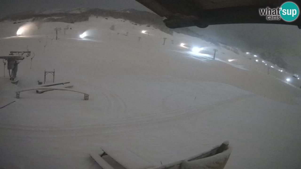 Livigno webcam – view on Livigno Ski School area – LivignoGO