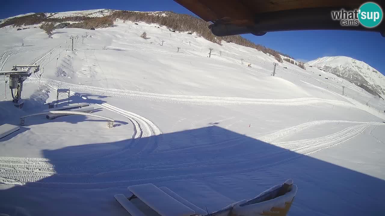 Livigno LIVE cam smučišče | pogled na smučarske proge