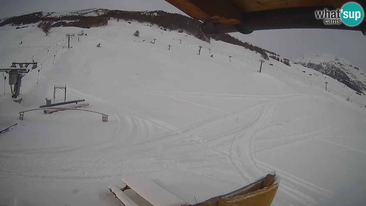 Livigno LIVE cam smučišče | pogled na smučarske proge