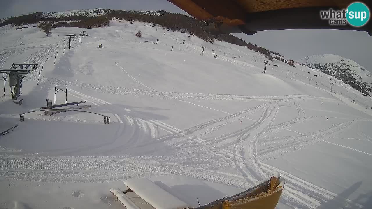 Livigno SKI webcam | Piste da SCI