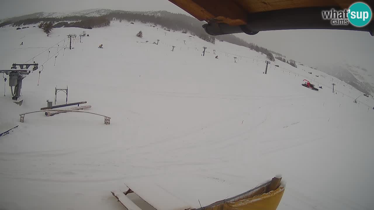 Livigno SKI webcam | Piste da SCI