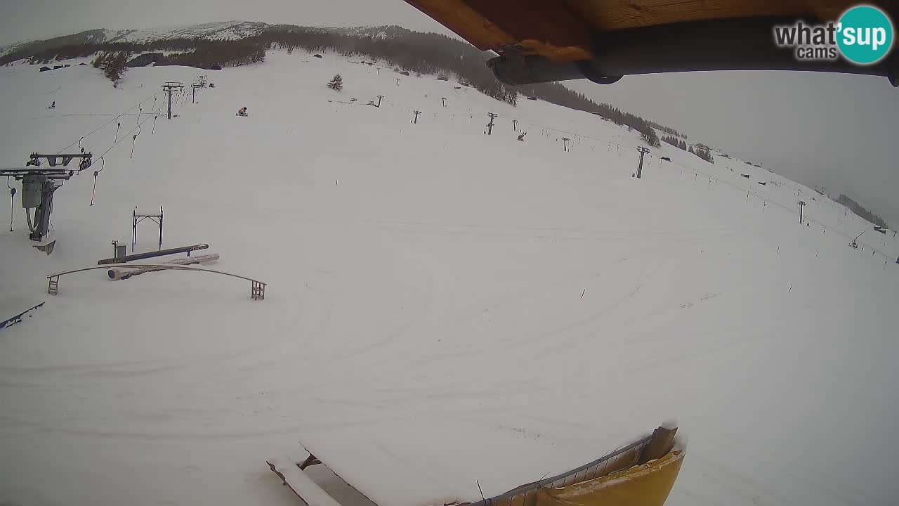 Livigno LIVE cam smučišče | pogled na smučarske proge