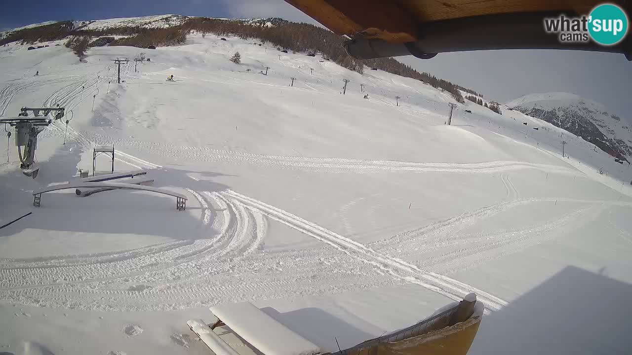 Livigno SKI webcam | Piste da SCI