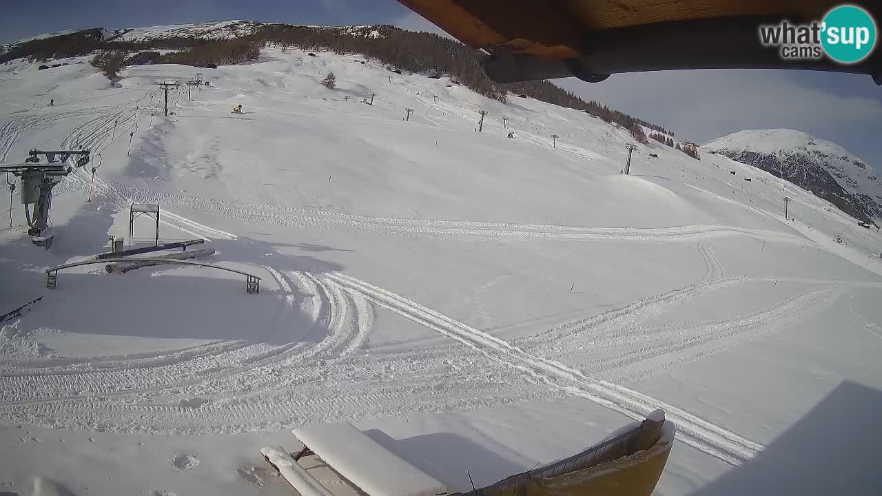 Livigno SKI webcam | Piste da SCI