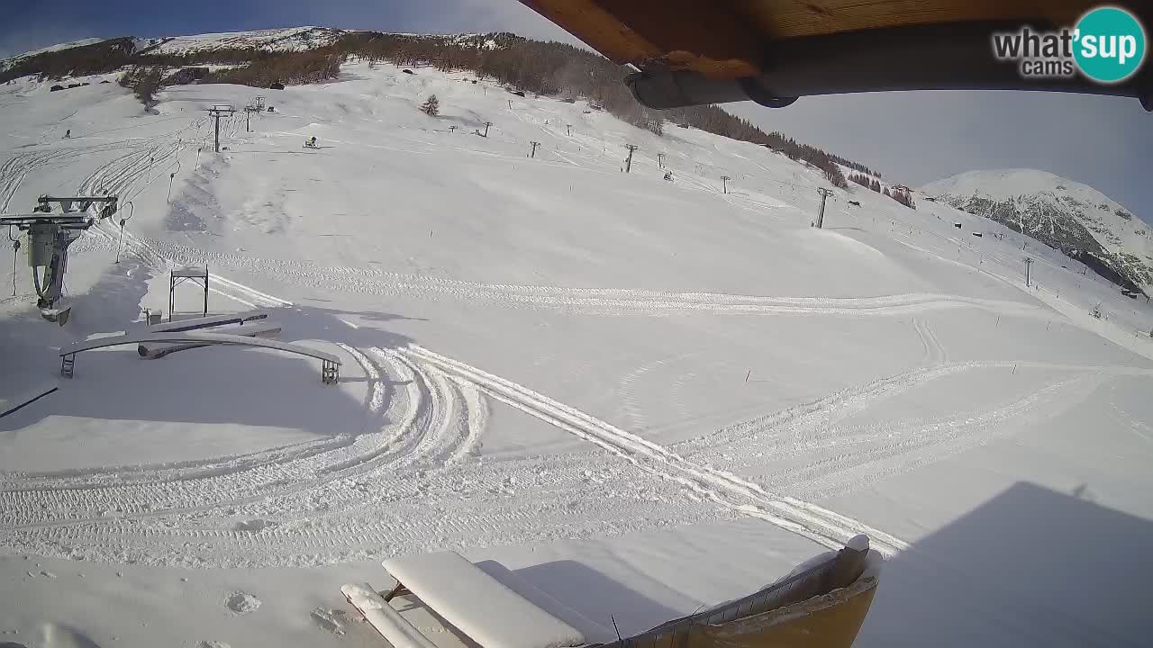 Livigno LIVE cam smučišče | pogled na smučarske proge