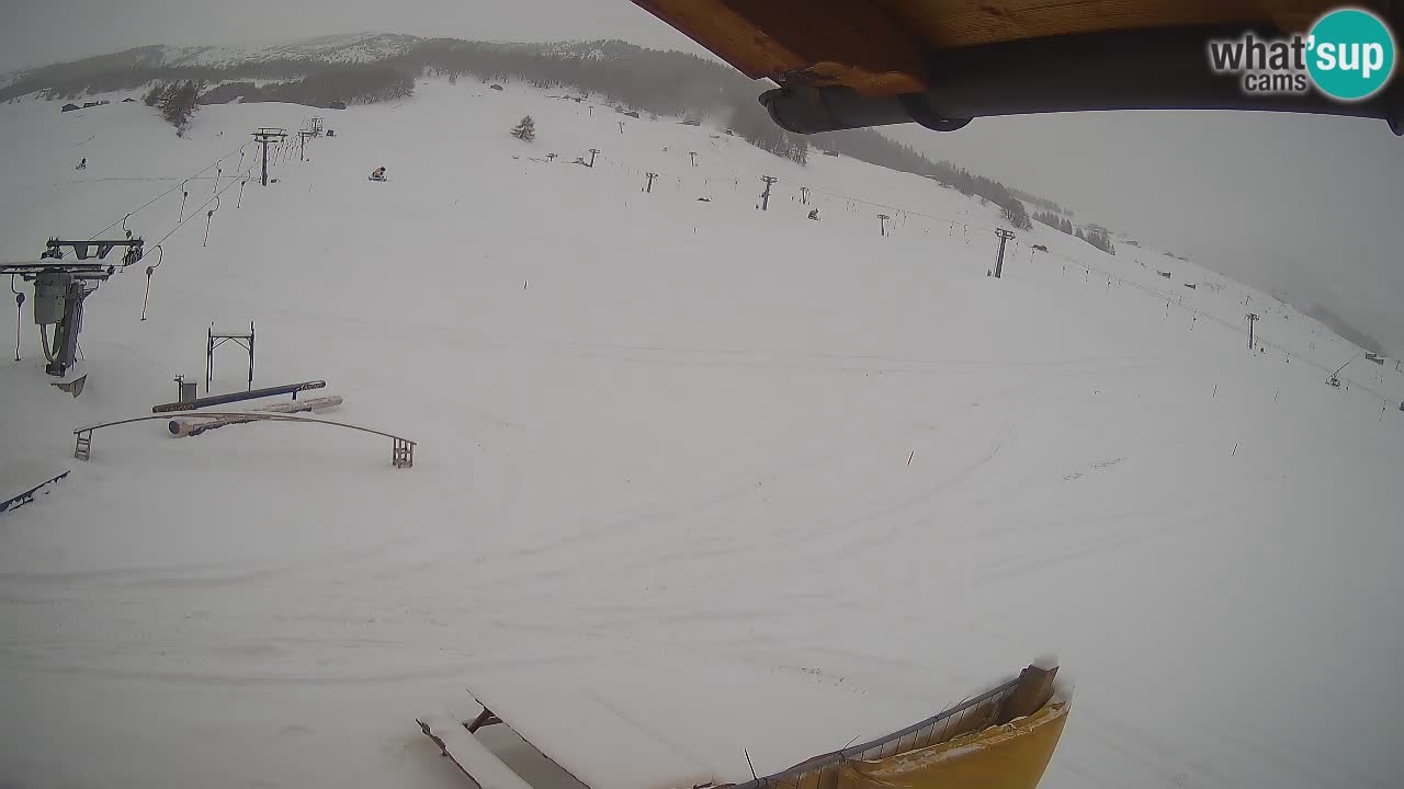 Livigno LIVE cam smučišče | pogled na smučarske proge