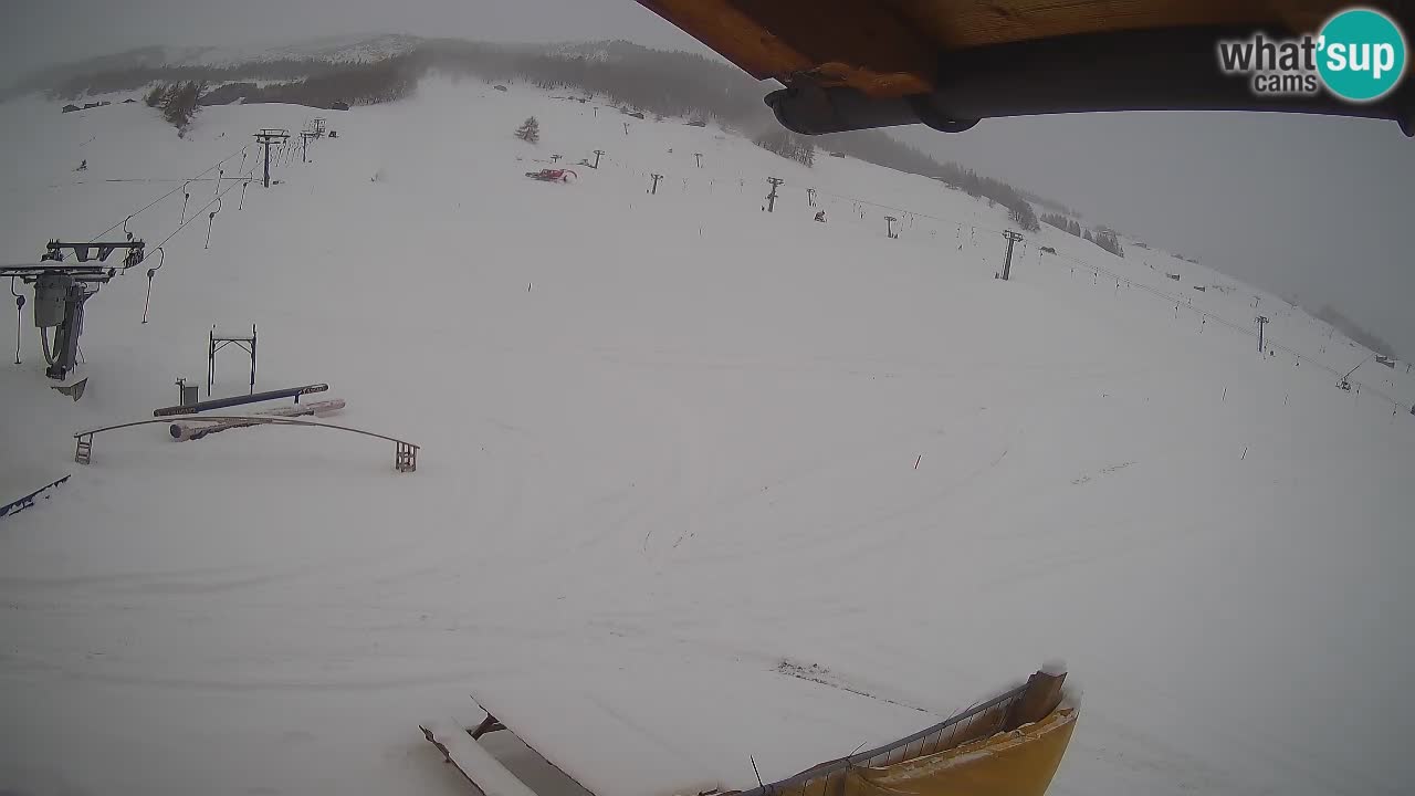 Livigno SKI webcam | Piste da SCI