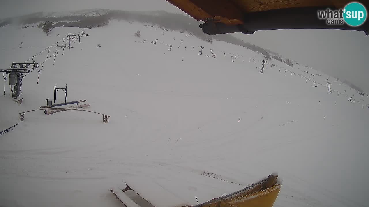 Livigno webcam – view on Livigno Ski School area – LivignoGO