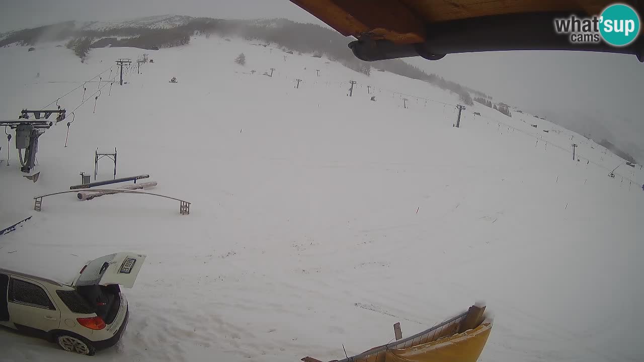 Livigno SKI webcam | Piste da SCI