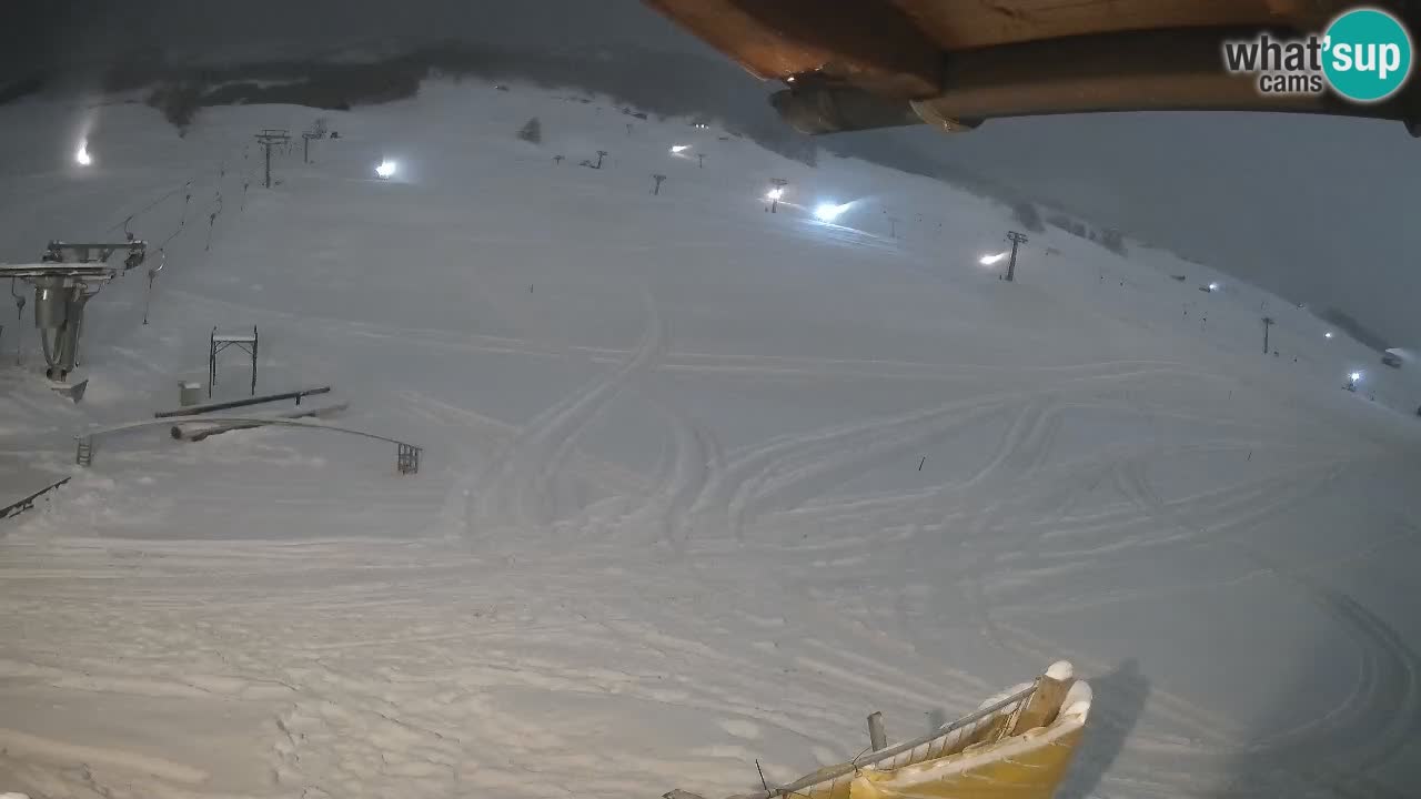 Livigno LIVE cam smučišče | pogled na smučarske proge