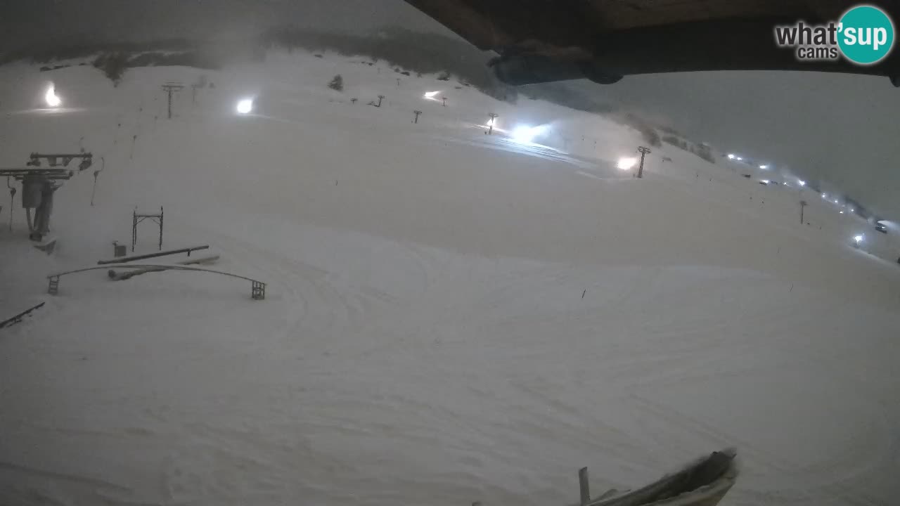 Livigno SKI webcam | Piste da SCI