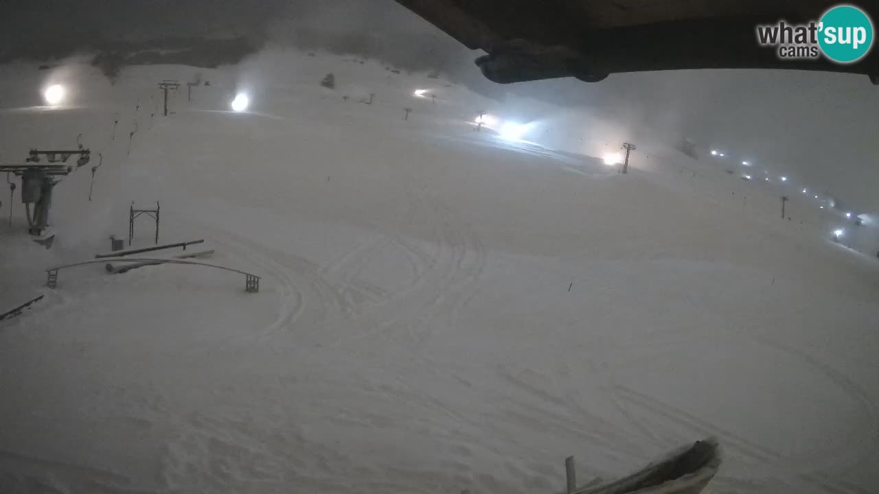 Livigno webcam – view on Livigno Ski School area – LivignoGO