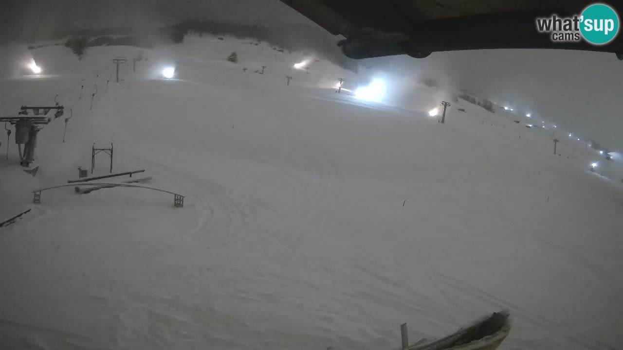 Livigno SKI webcam | Piste da SCI