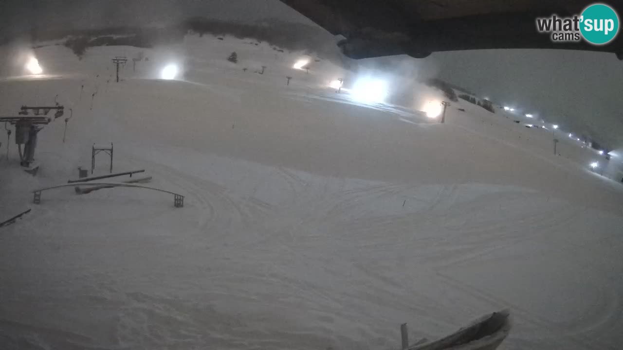 Livigno SKI webcam | Piste da SCI