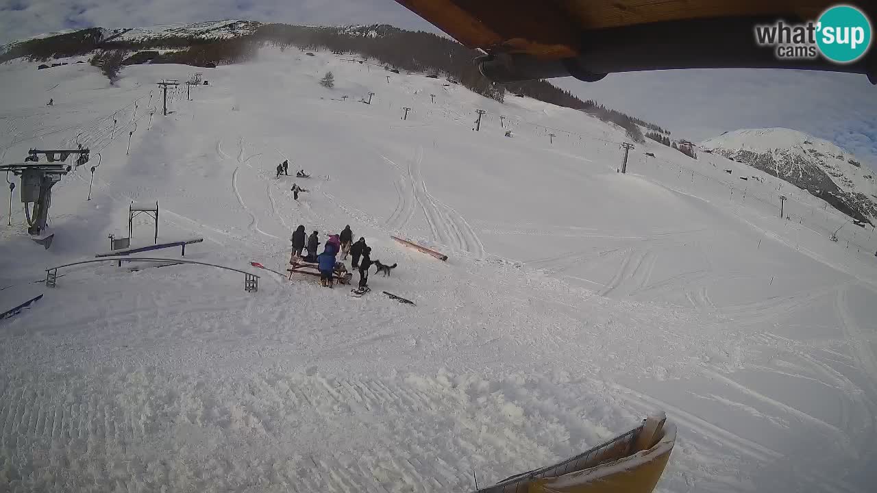 Livigno SKI webcam | Piste da SCI