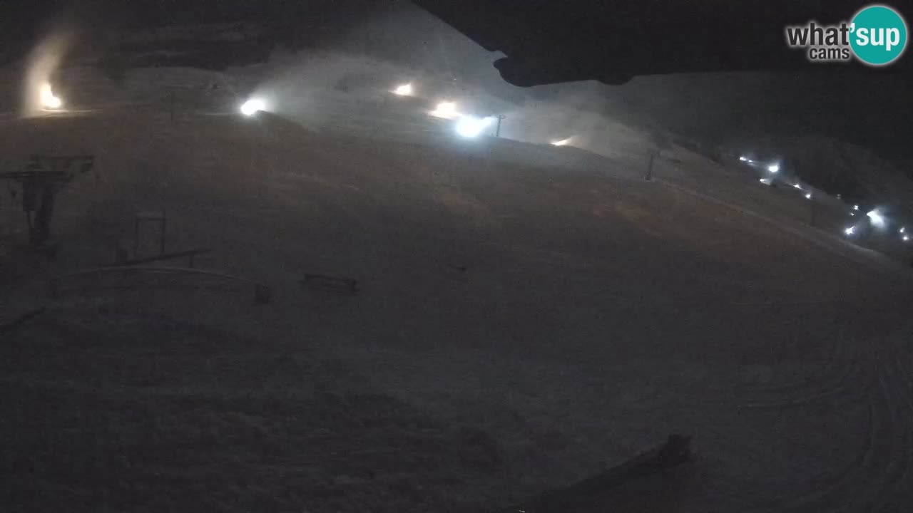 Livigno SKI webcam | Piste da SCI