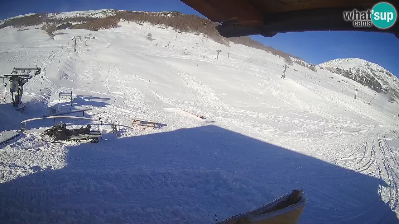 Livigno SKI webcam | Piste da SCI