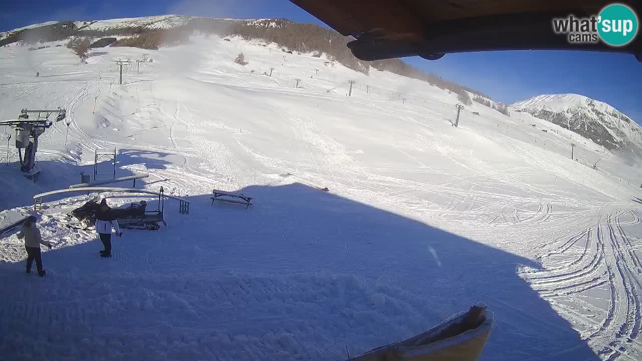 Livigno SKI webcam | Piste da SCI