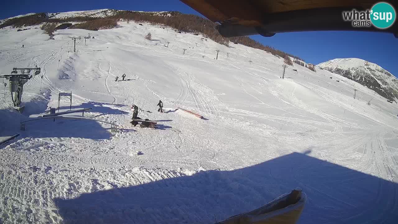 Livigno SKI webcam | Piste da SCI