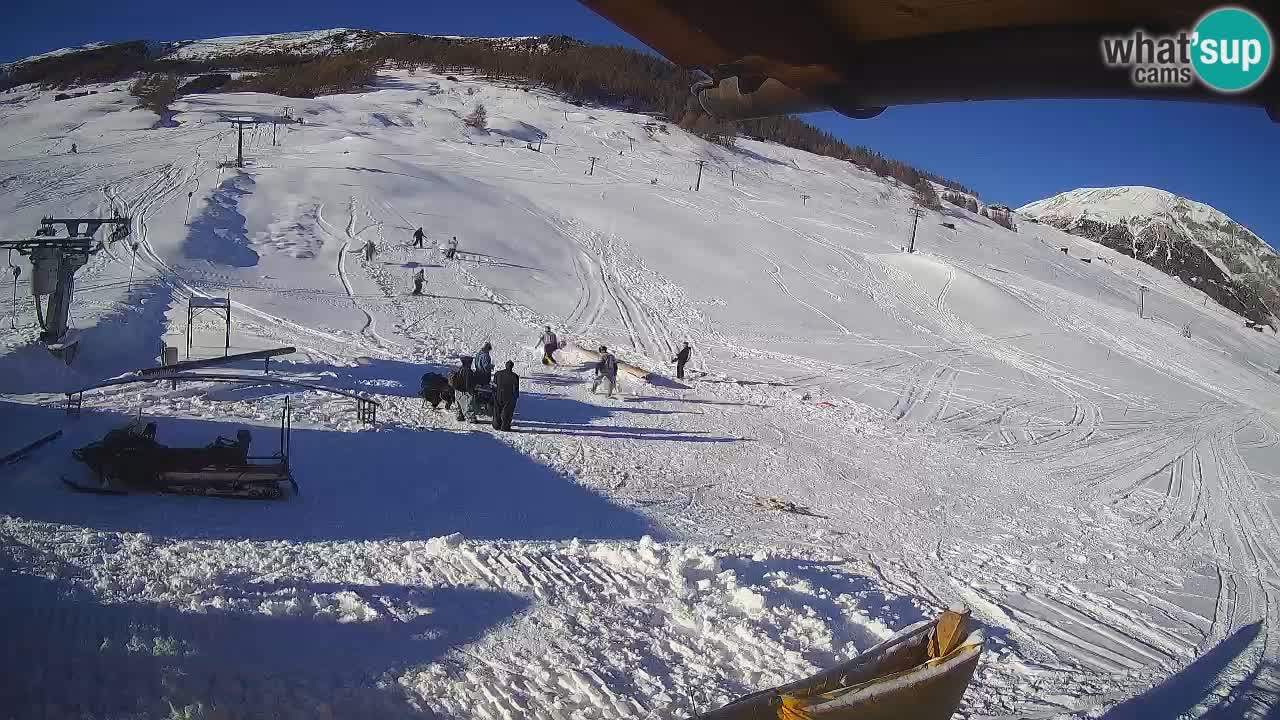 Livigno LIVE cam smučišče | pogled na smučarske proge