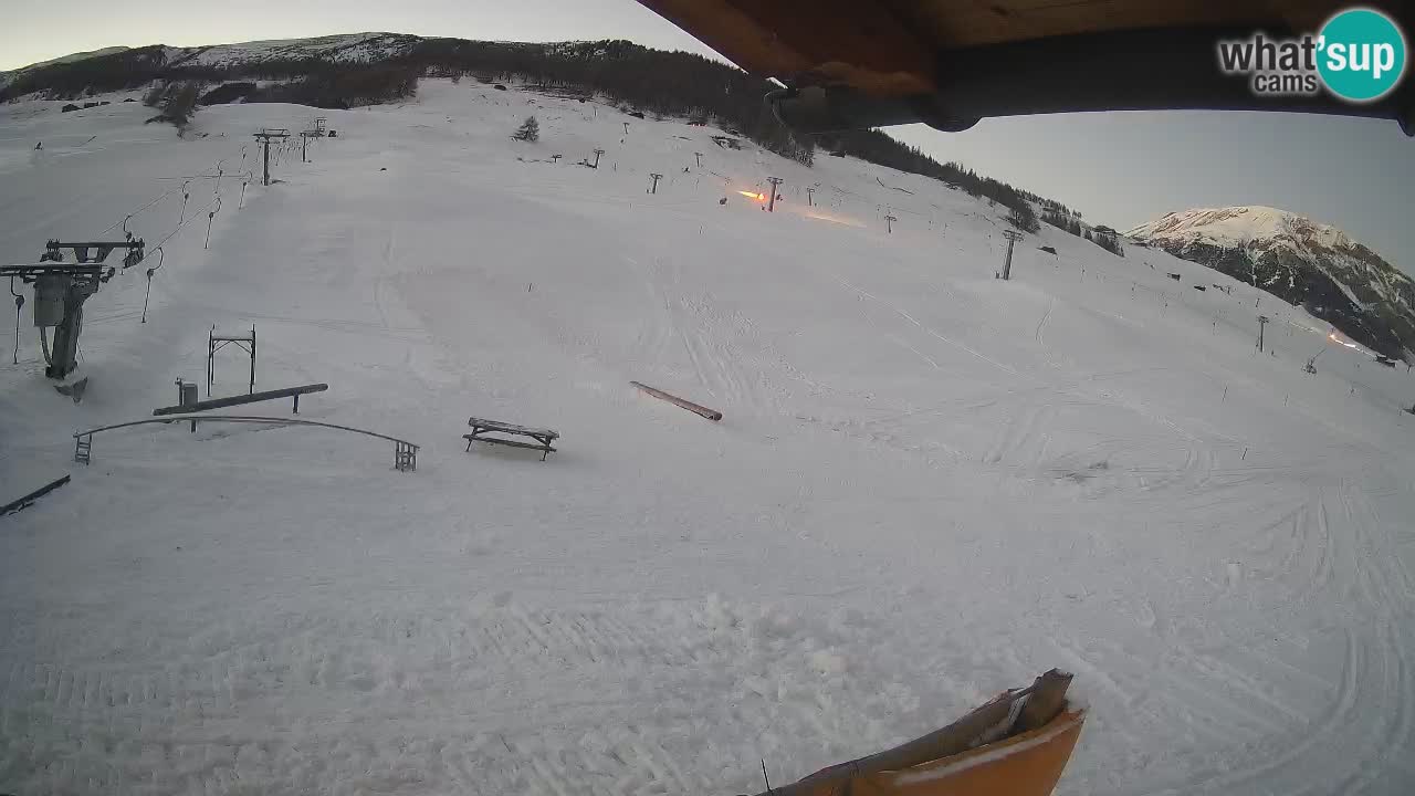 Livigno SKI webcam | Piste da SCI