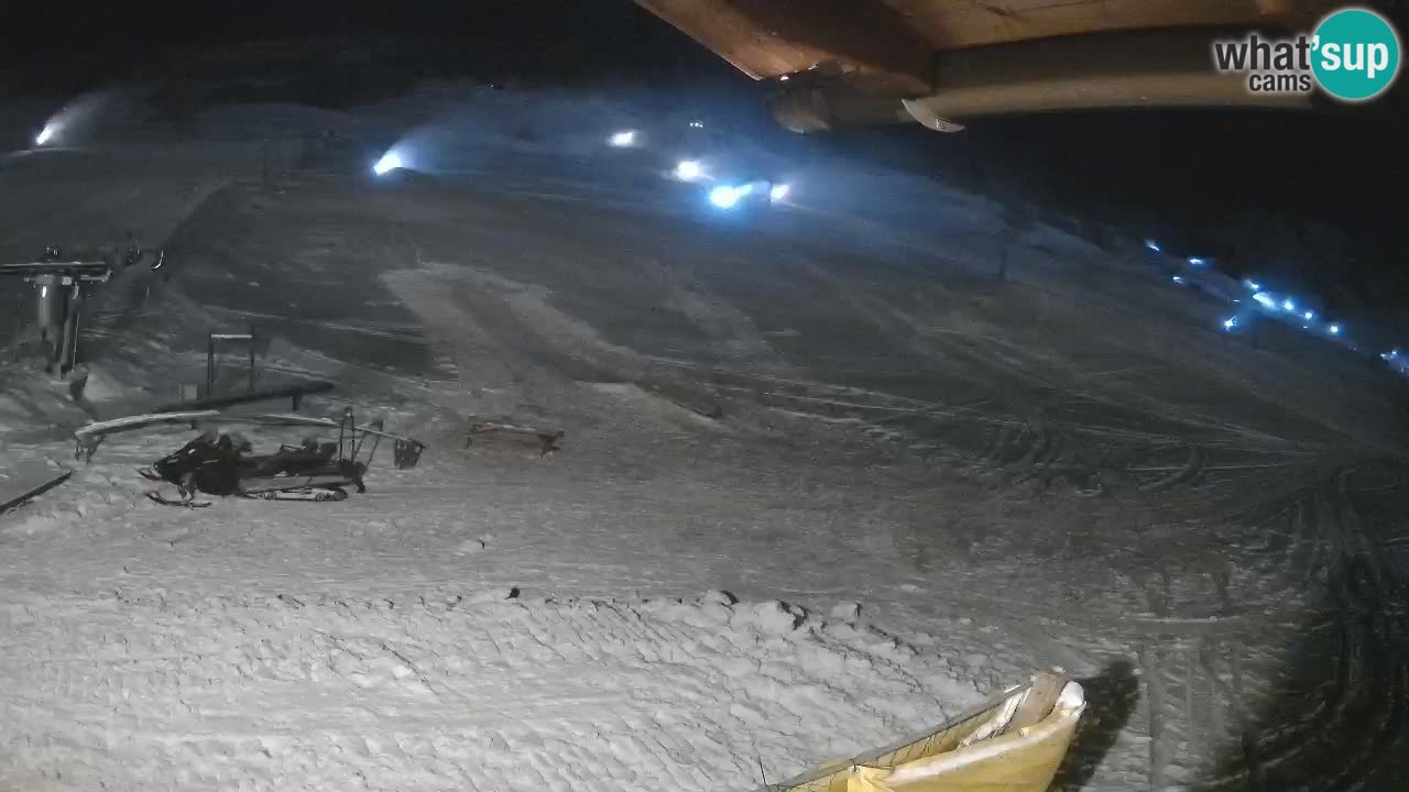 Livigno SKI webcam | Piste da SCI