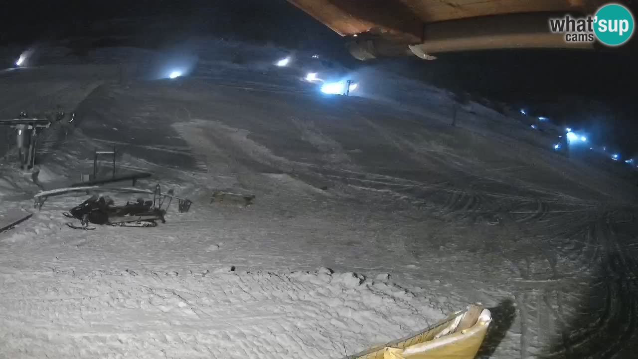 Livigno SKI webcam | Piste da SCI