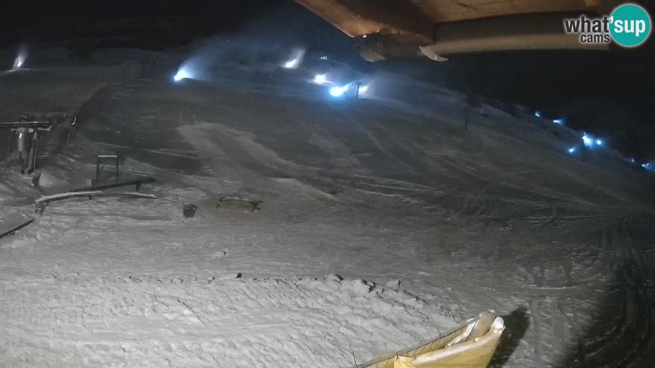 Livigno SKI webcam | Piste da SCI