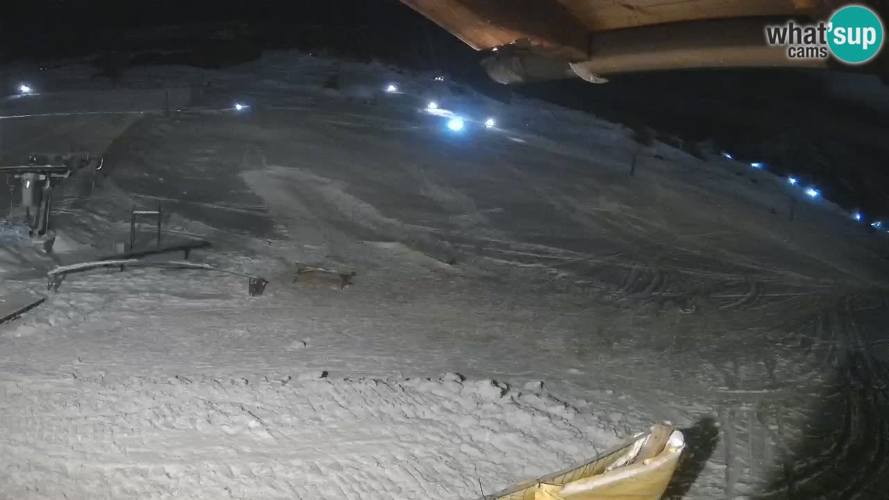 Livigno SKI webcam | Piste da SCI