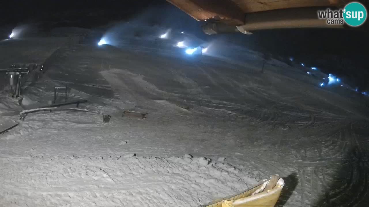 Livigno LIVE cam smučišče | pogled na smučarske proge