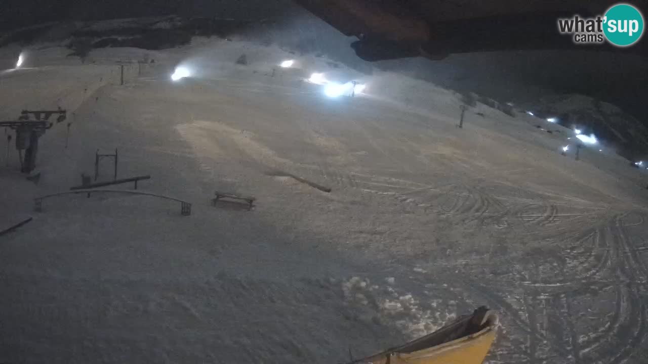 Livigno SKI webcam | Piste da SCI