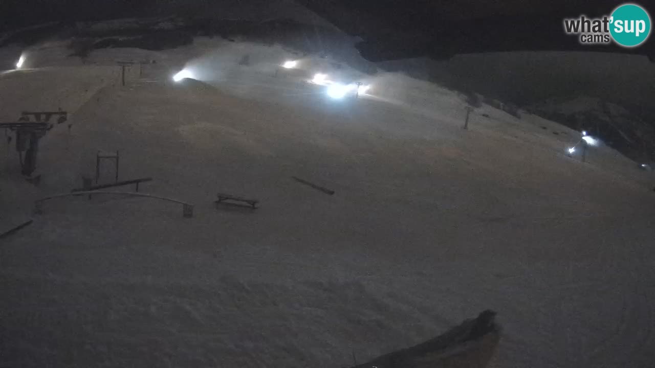 Livigno SKI webcam | Piste da SCI