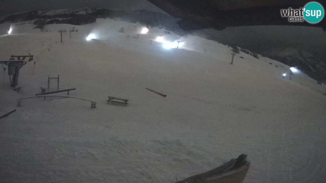 Livigno SKI webcam | Piste da SCI