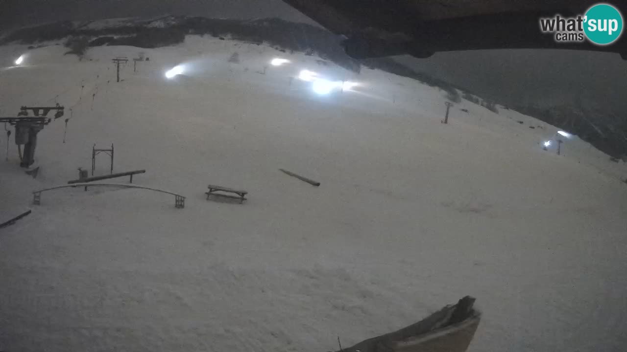 Livigno SKI webcam | Piste da SCI