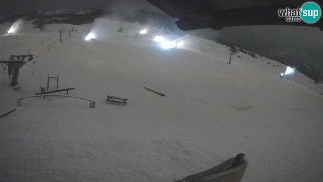 Livigno SKI webcam | Piste da SCI