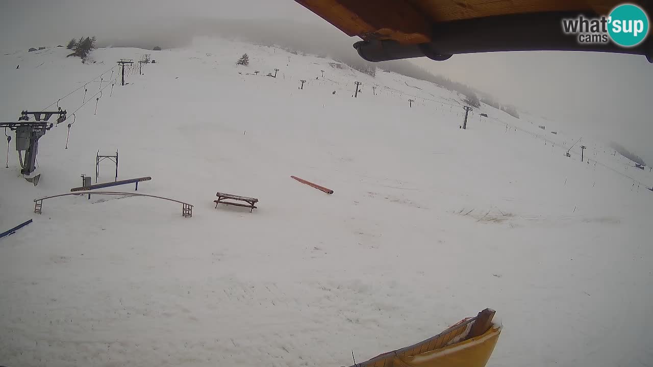 Livigno LIVE cam smučišče | pogled na smučarske proge