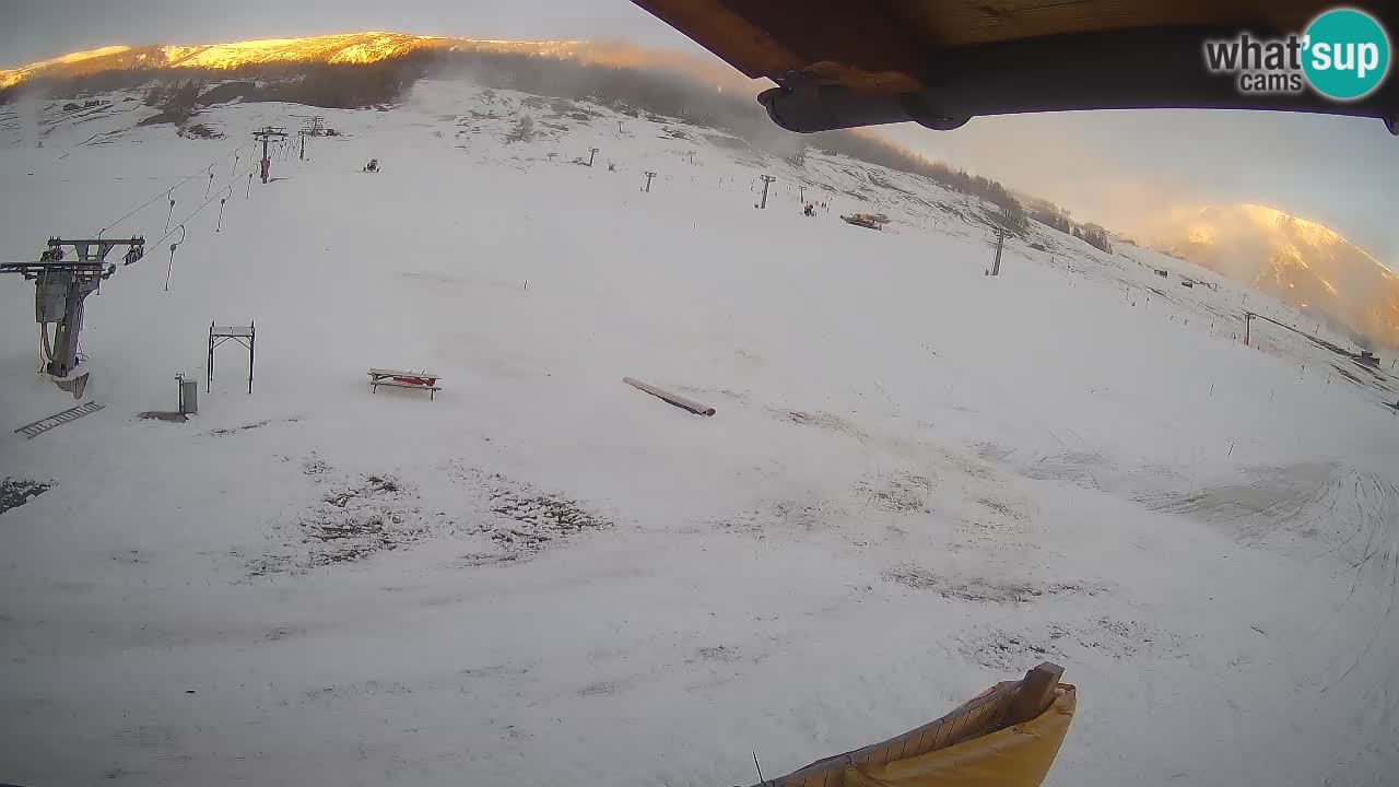 Livigno SKI webcam | Piste da SCI