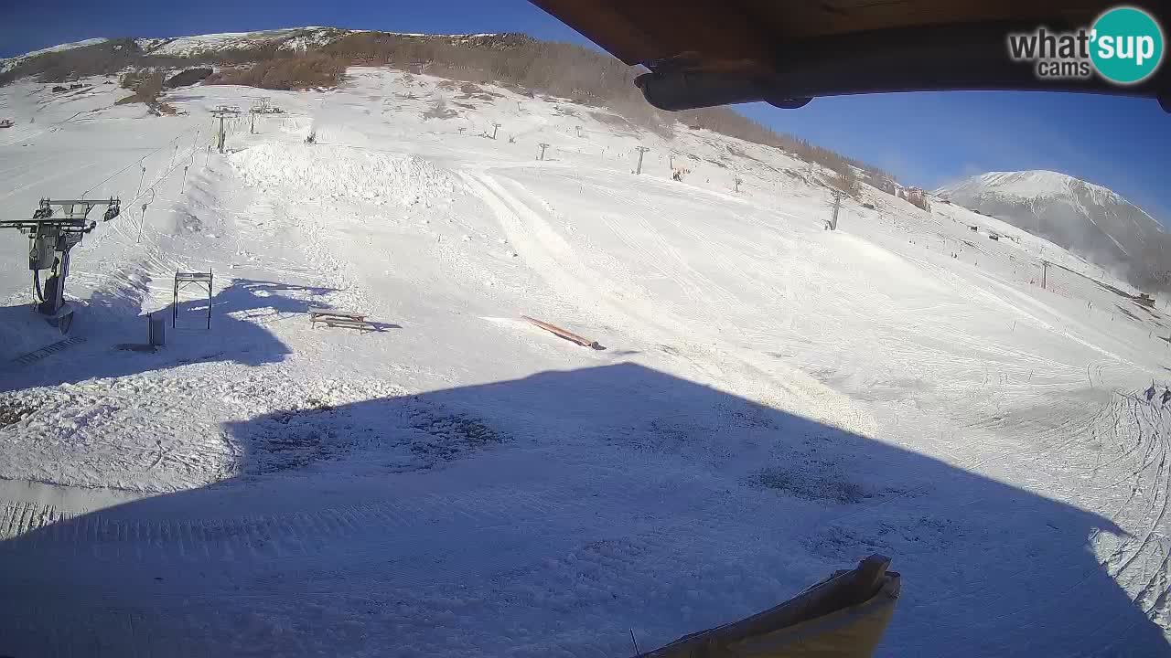 Livigno SKI webcam | Piste da SCI