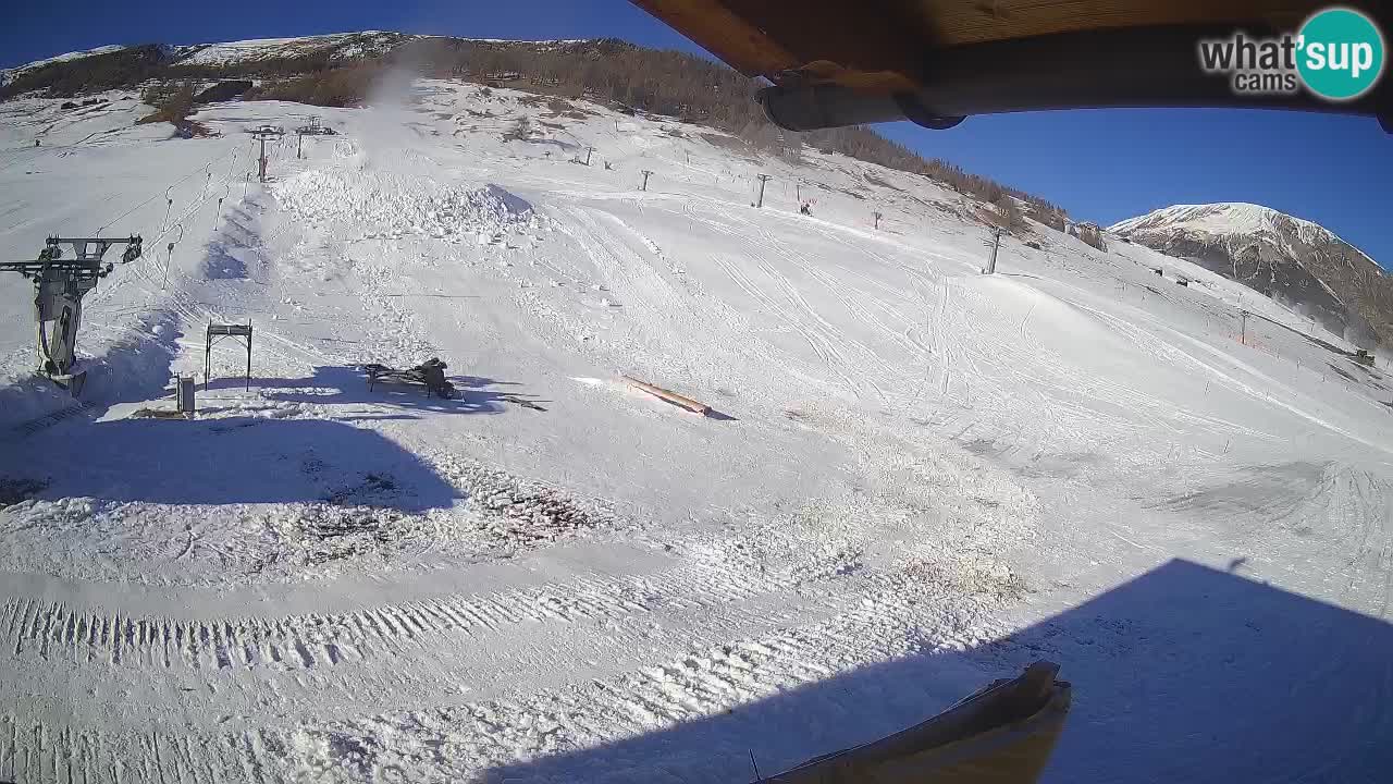 Livigno SKI webcam | Piste da SCI