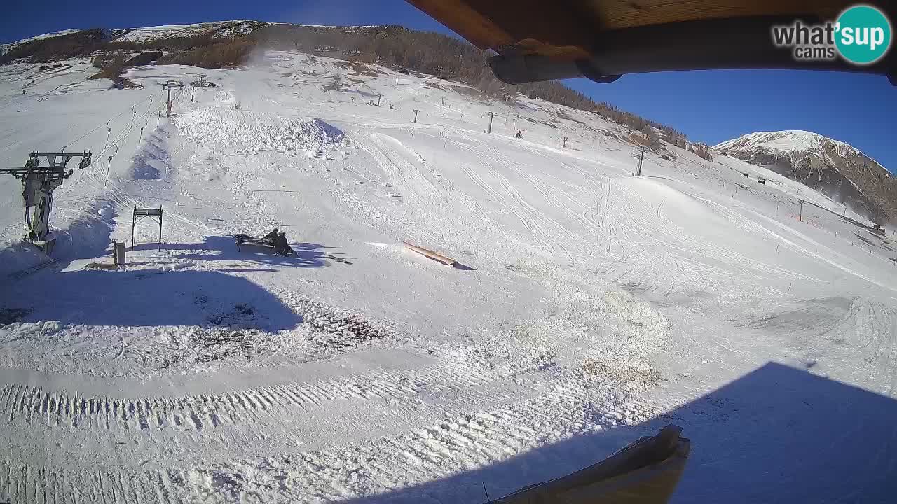 Livigno SKI webcam | Piste da SCI