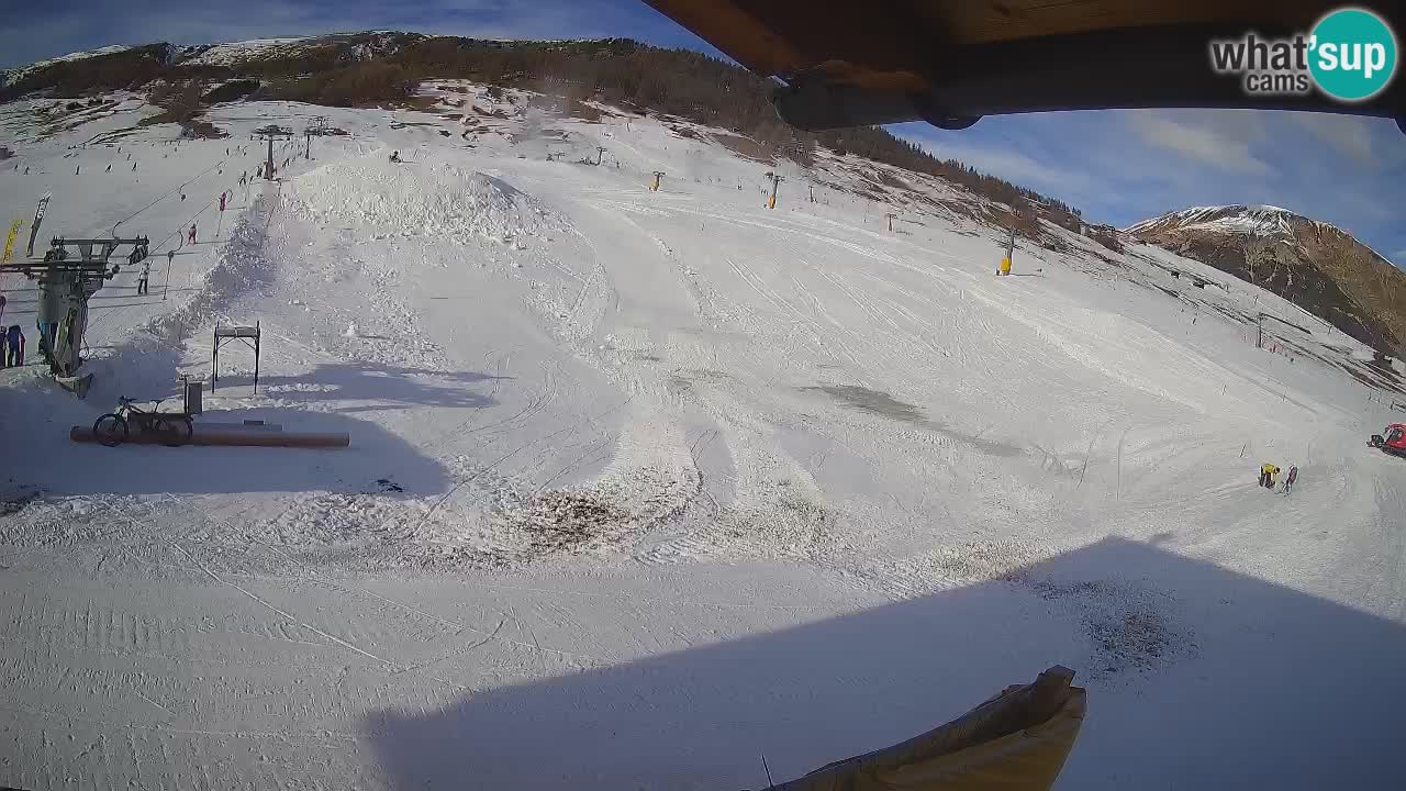 Livigno SKI webcam | Piste da SCI