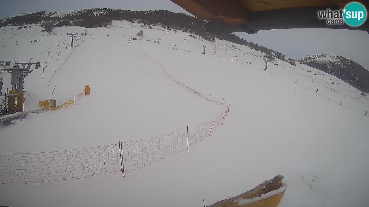 Livigno SKI webcam | Piste da SCI