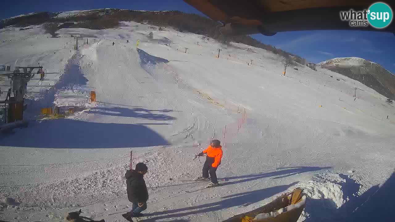 Livigno SKI webcam | Piste da SCI