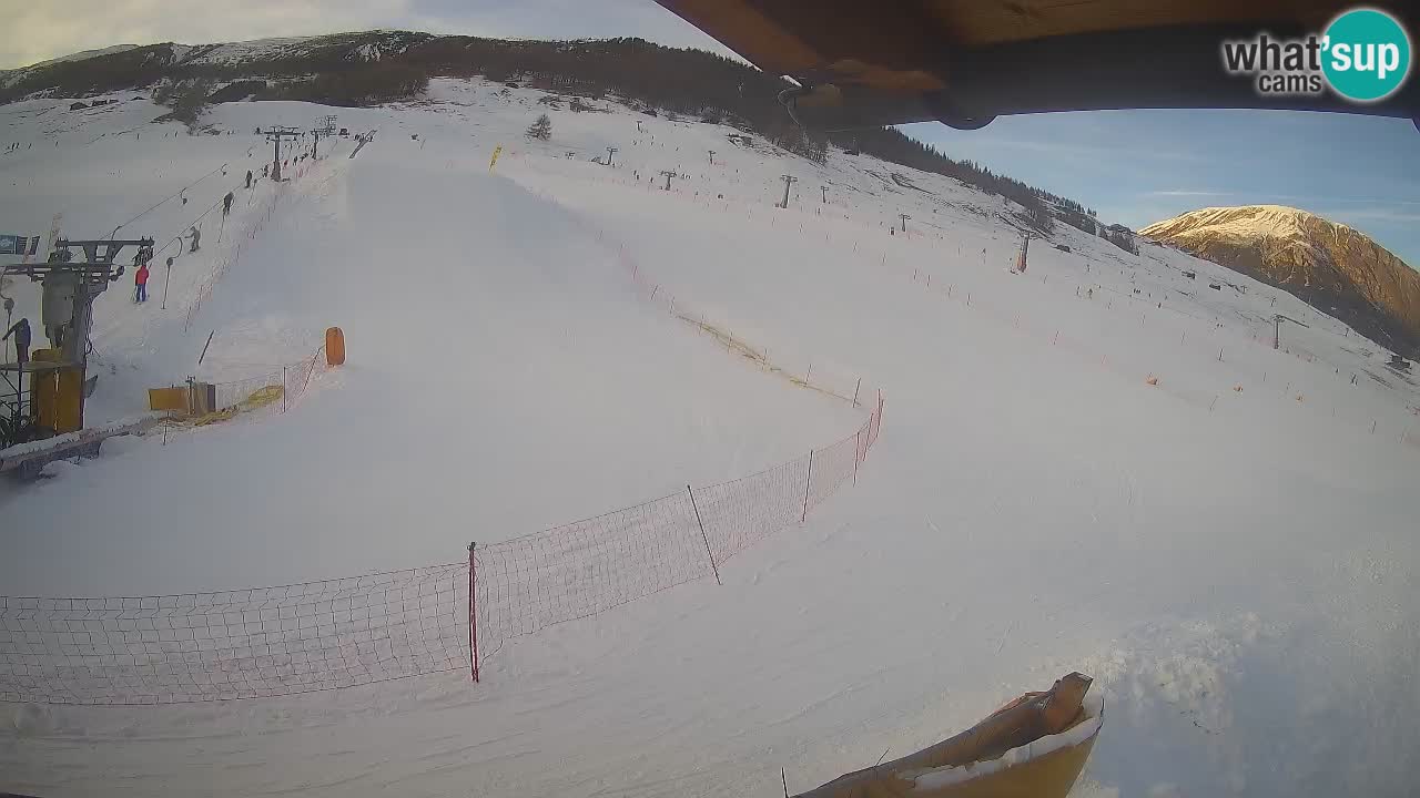 Livigno SKI webcam | Piste da SCI