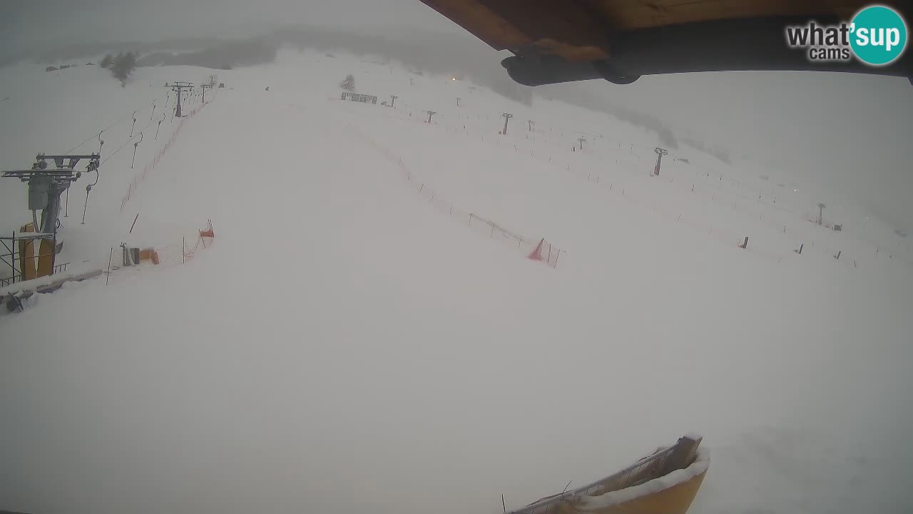 LIVIGNO Skigebiet webcam | Skipisten