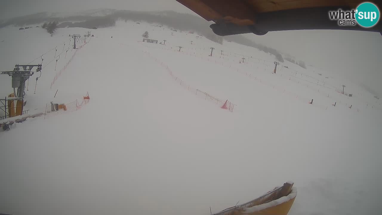 Livigno webcam – view on Livigno Ski School area – LivignoGO