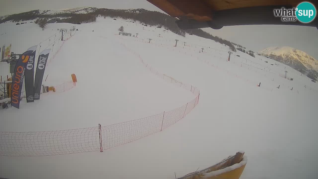 Livigno SKI webcam | Piste da SCI