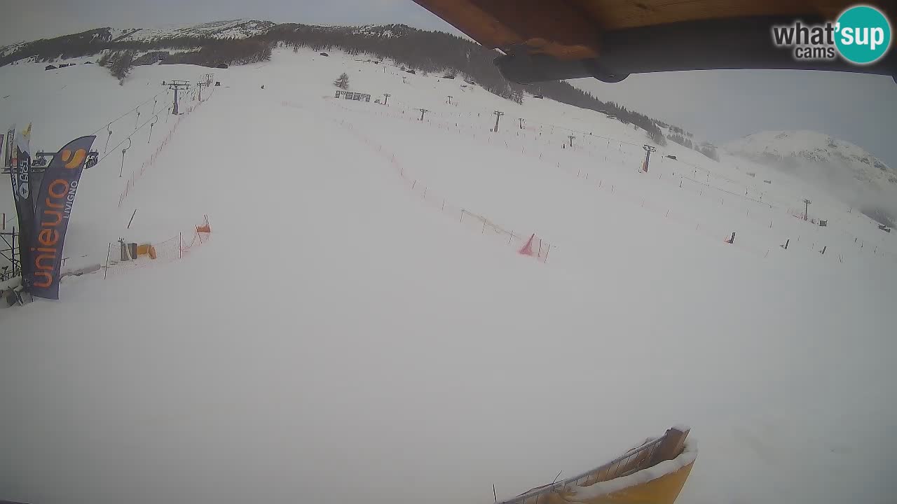 Livigno LIVE cam smučišče | pogled na smučarske proge