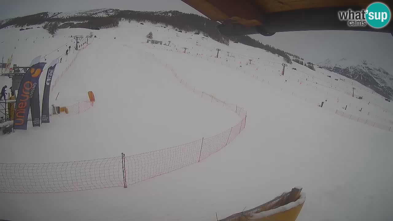 Livigno LIVE cam smučišče | pogled na smučarske proge