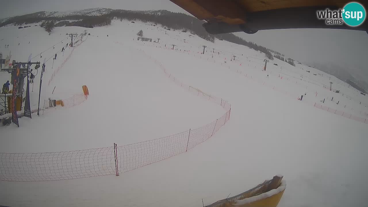 Livigno SKI webcam | Piste da SCI